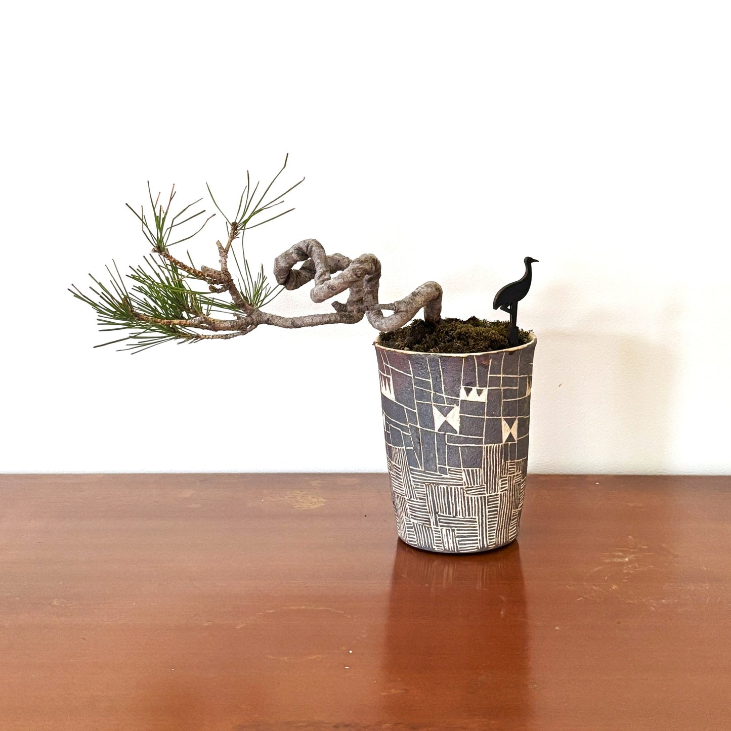 4.Re-盆栽 b3y/赤松/半懸崖/観葉植物/BONSAI