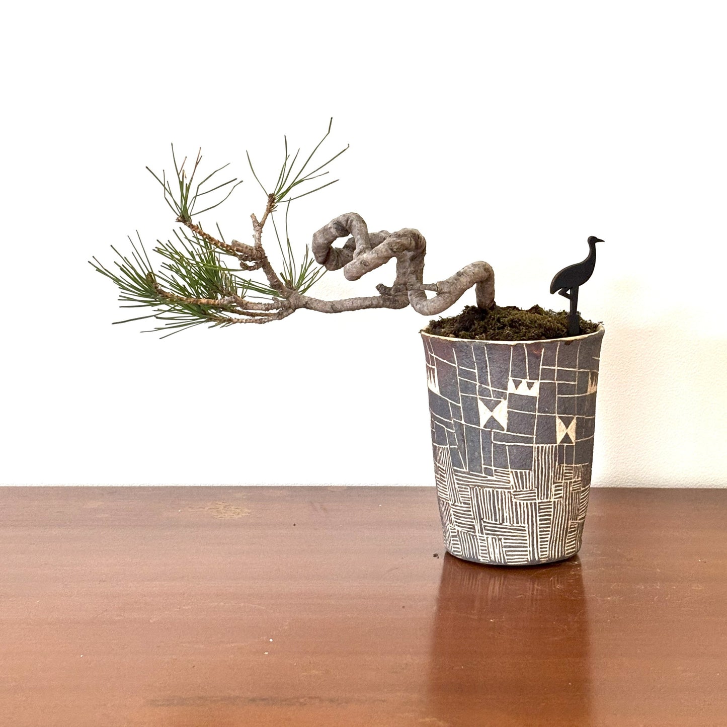 4.Re-盆栽 b3y/赤松/半懸崖/観葉植物/BONSAI