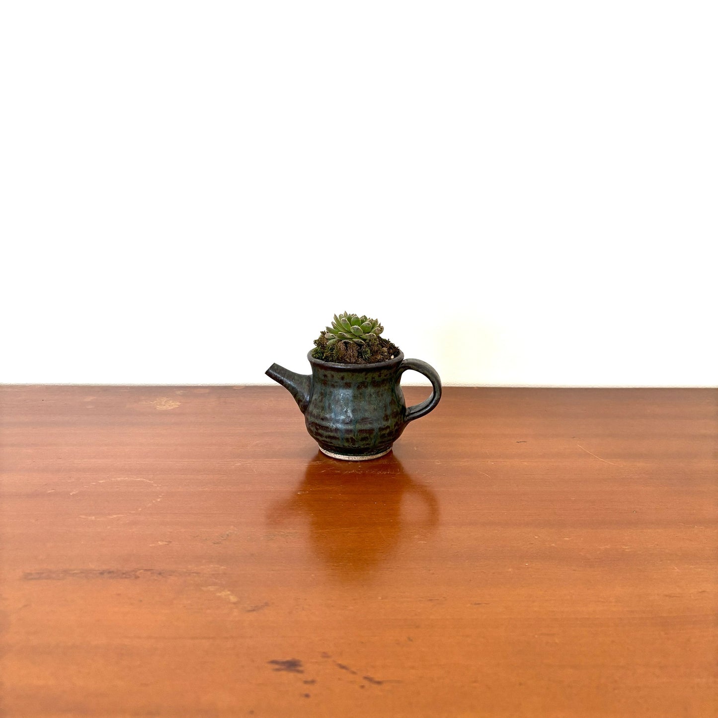 Re-盆栽 b8y/エケベリア/多肉植物/観葉植物/BONSAI