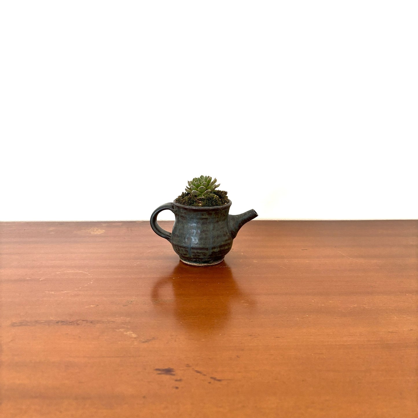 Re-盆栽 b8y/エケベリア/多肉植物/観葉植物/BONSAI