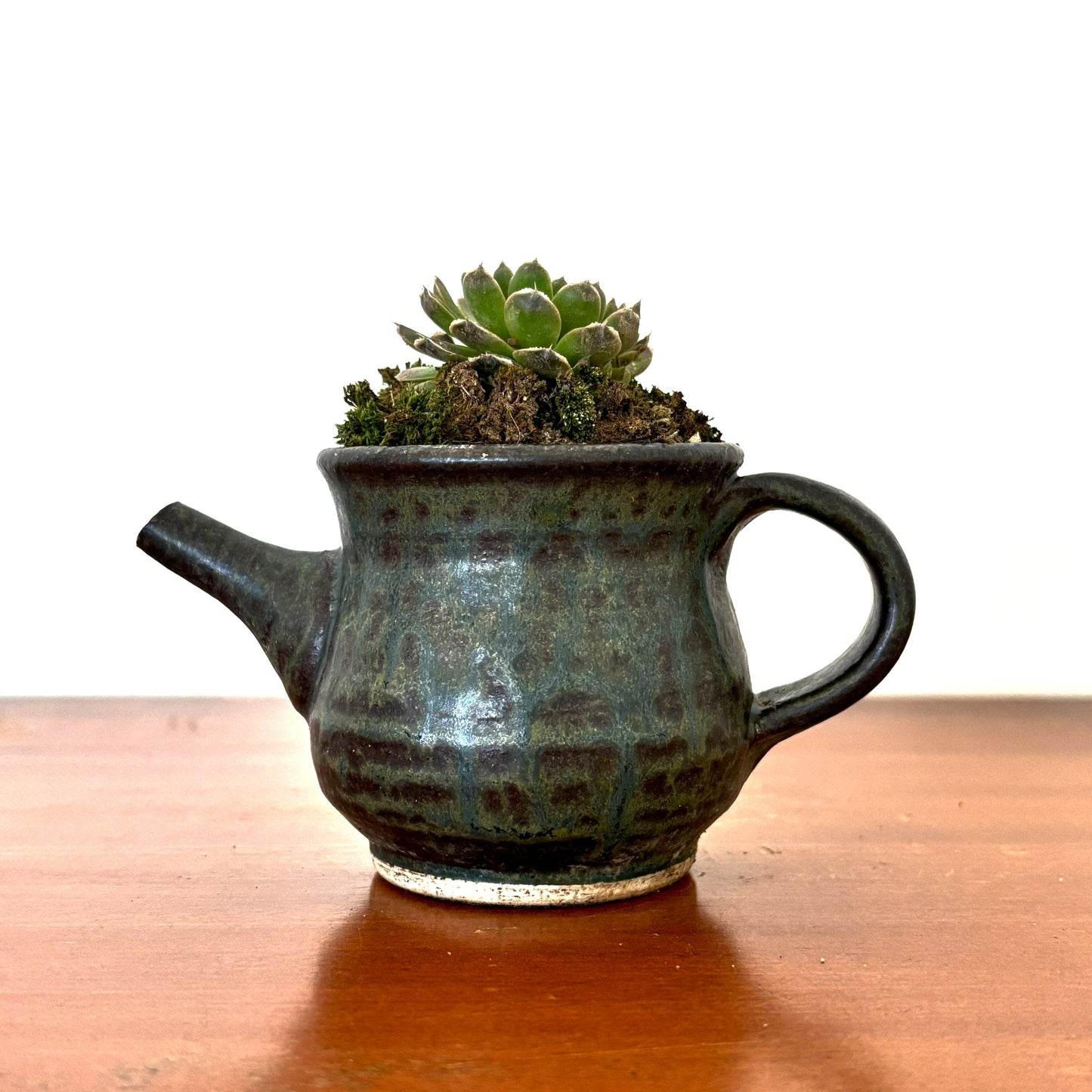 Re-盆栽 b8y/エケベリア/多肉植物/観葉植物/BONSAI